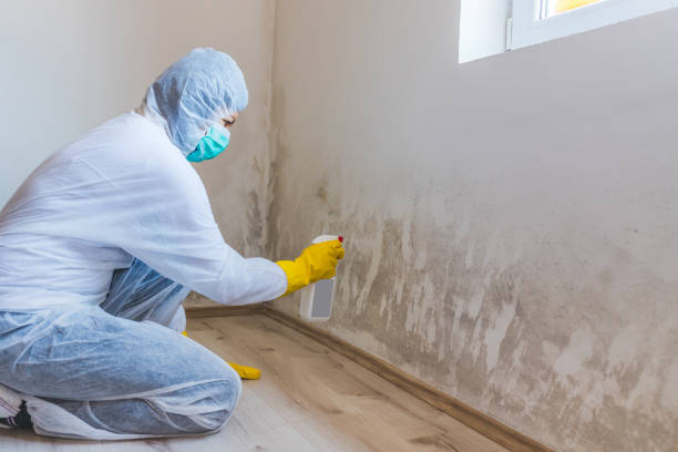 Mold inspector in Coltons Point performing thermal imaging