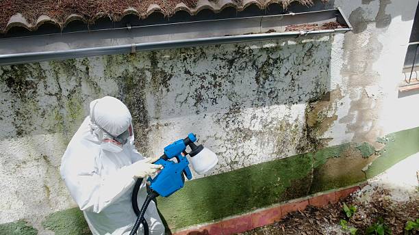 Clearance testing in Coltons Point
